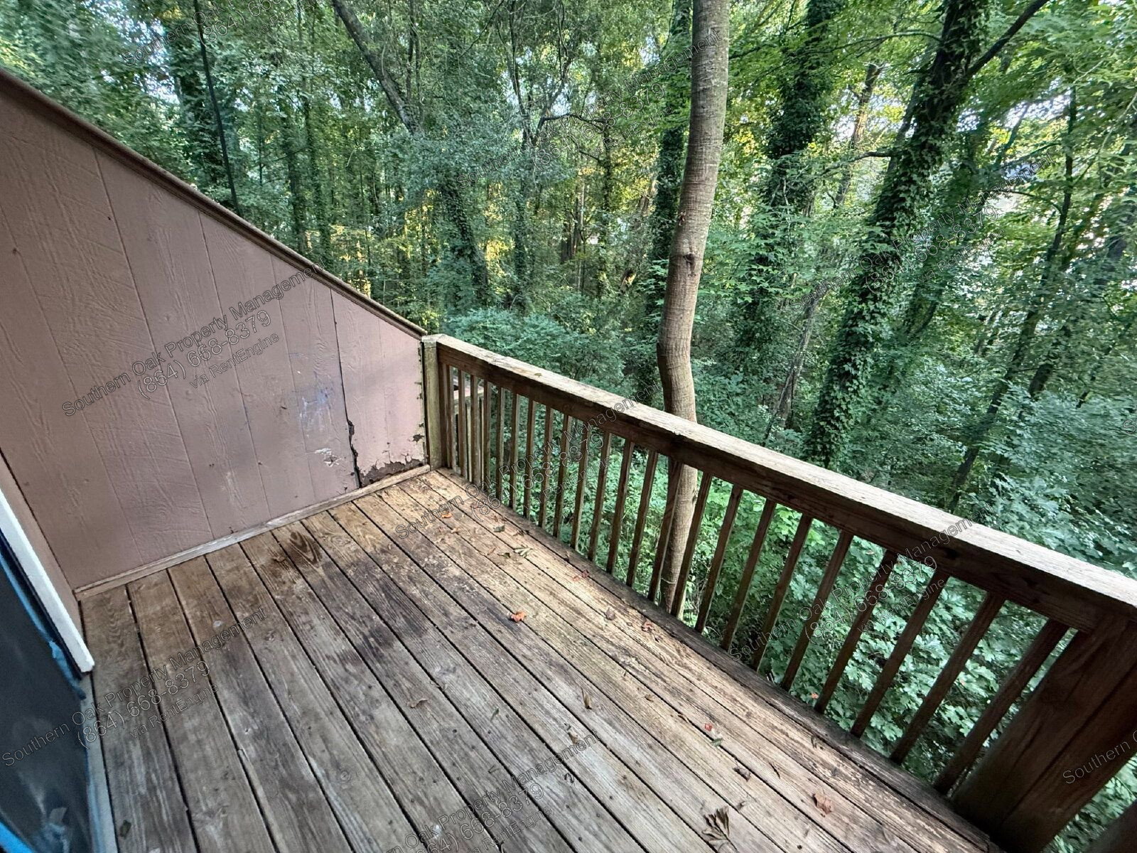 Gallery Image 19