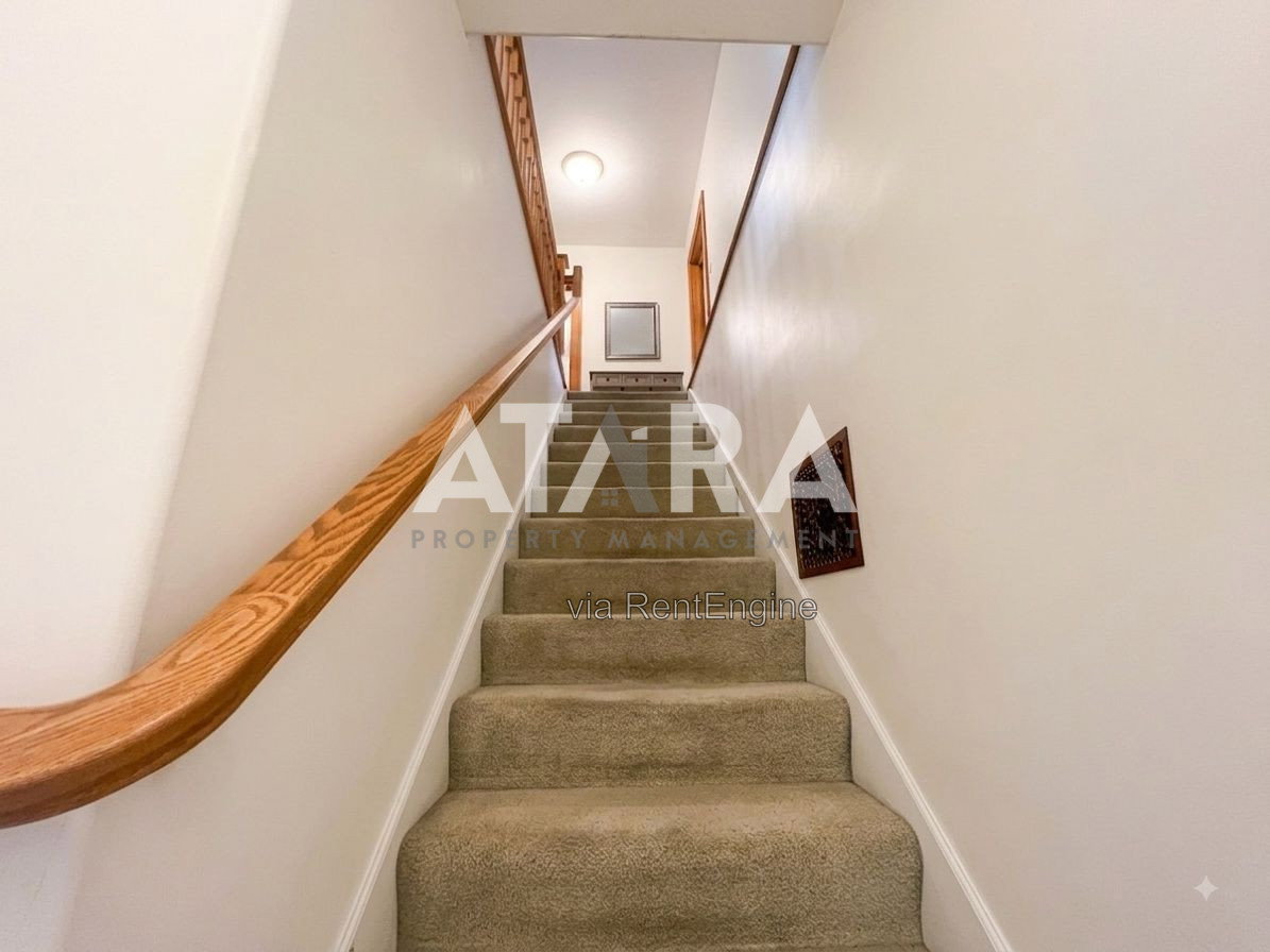 Gallery Image 25