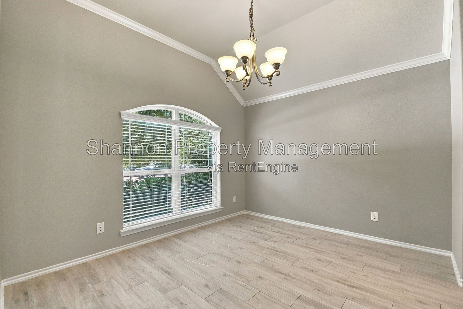 Gallery Image 18