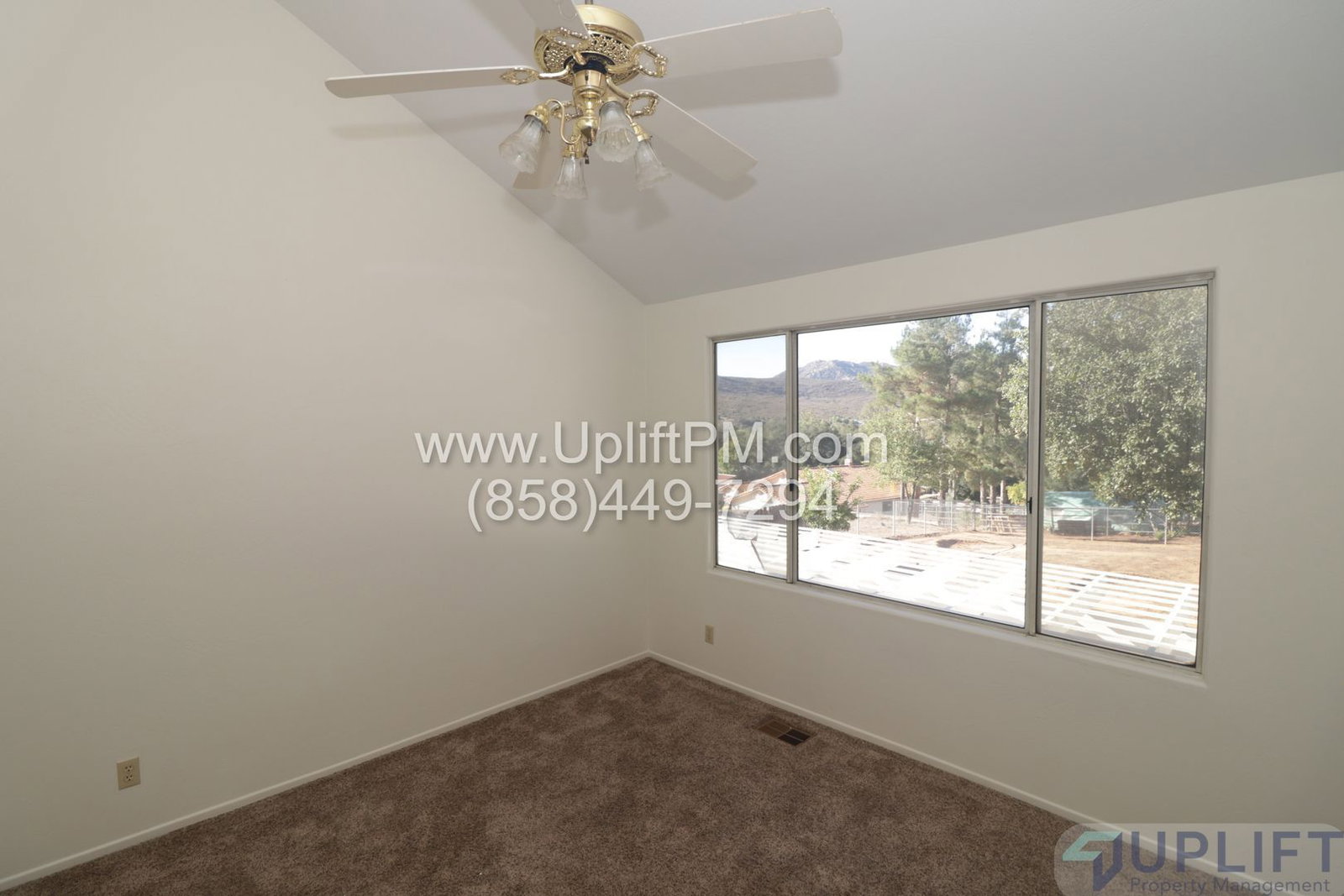 Gallery Image 17