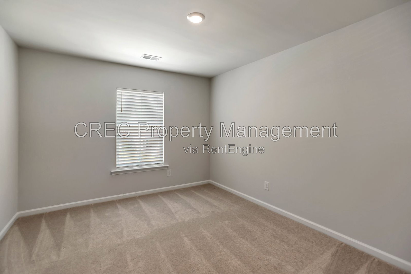 Gallery Image 19