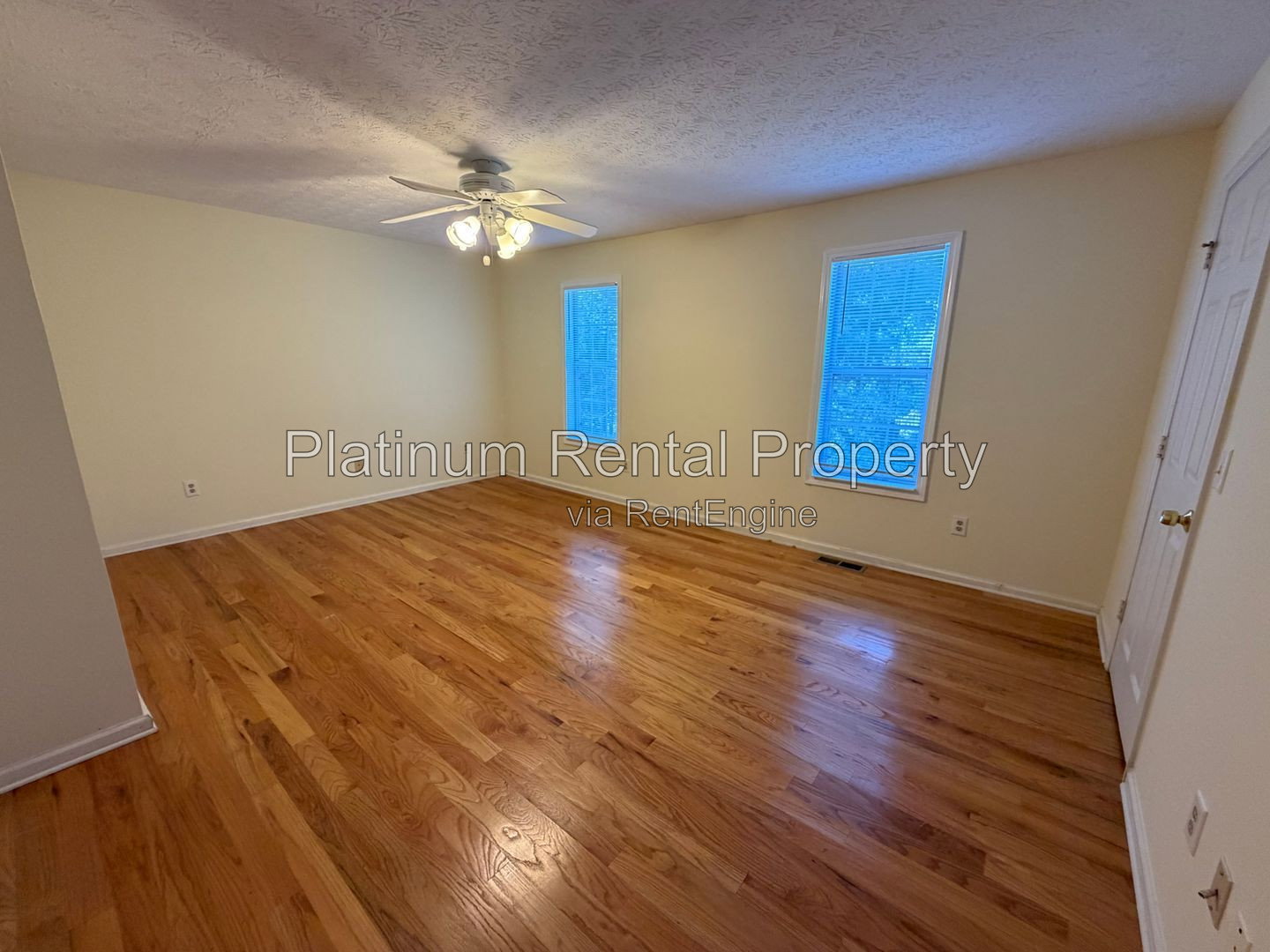 Gallery Image 19