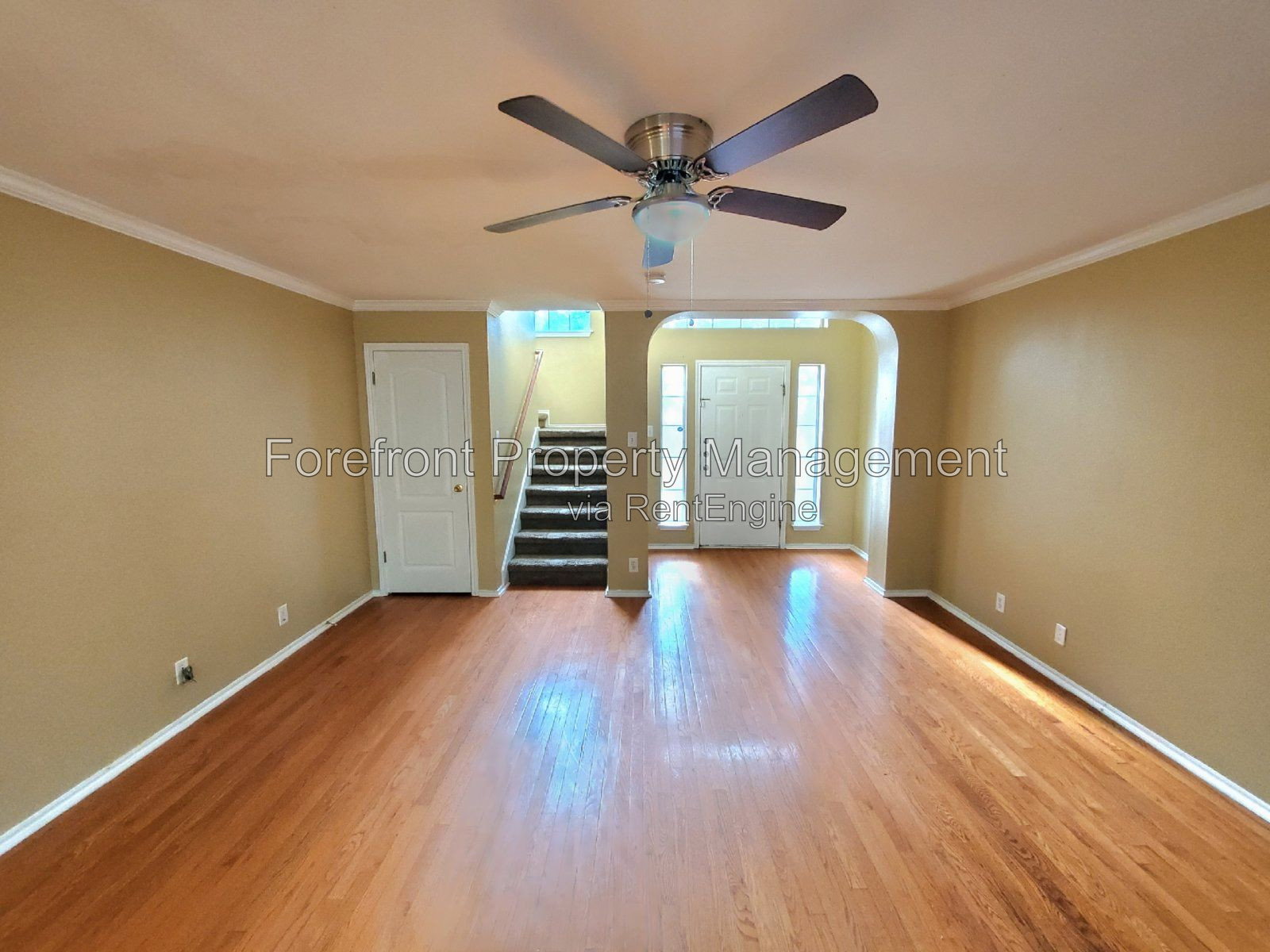 Gallery Image 11