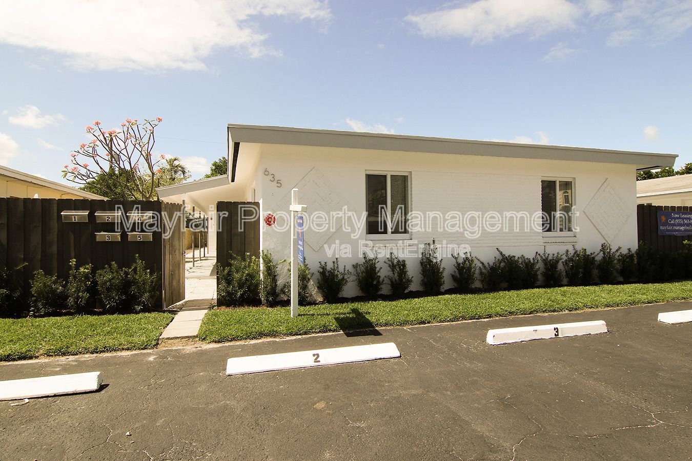 Gallery Image 7