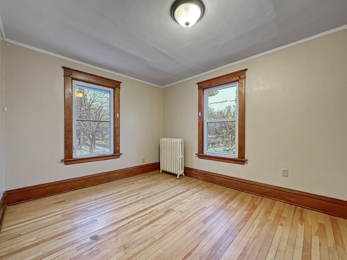 Gallery Image 15