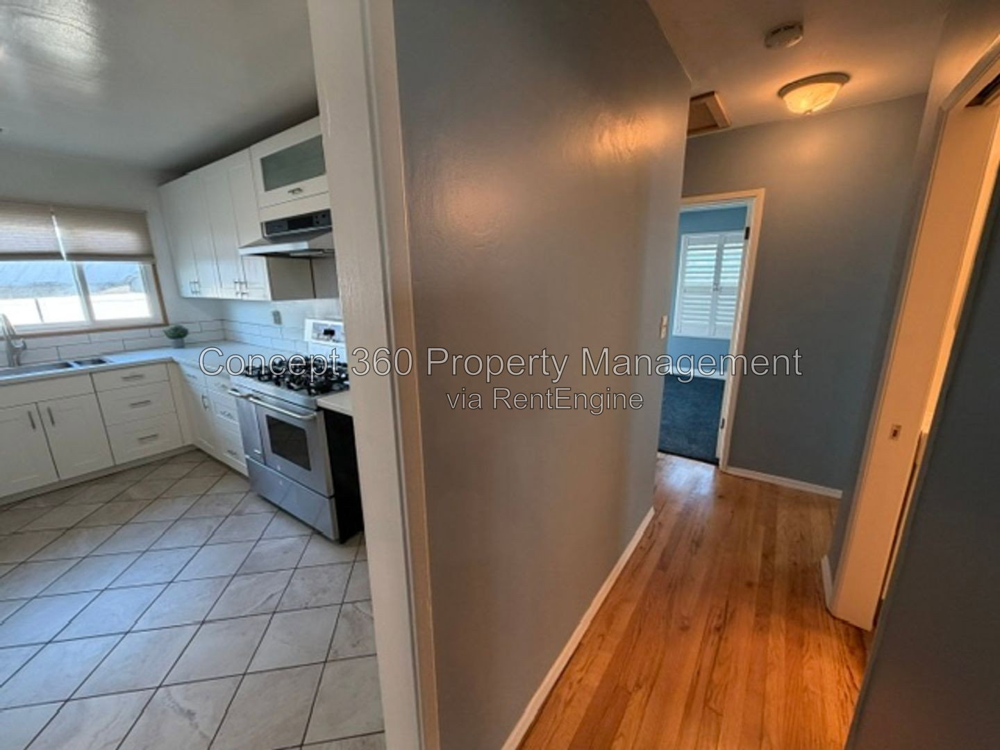 Gallery Image 14