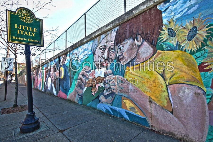 Gallery Image 11