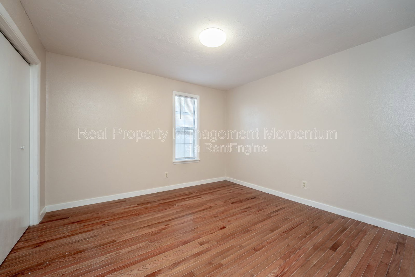 Gallery Image 19