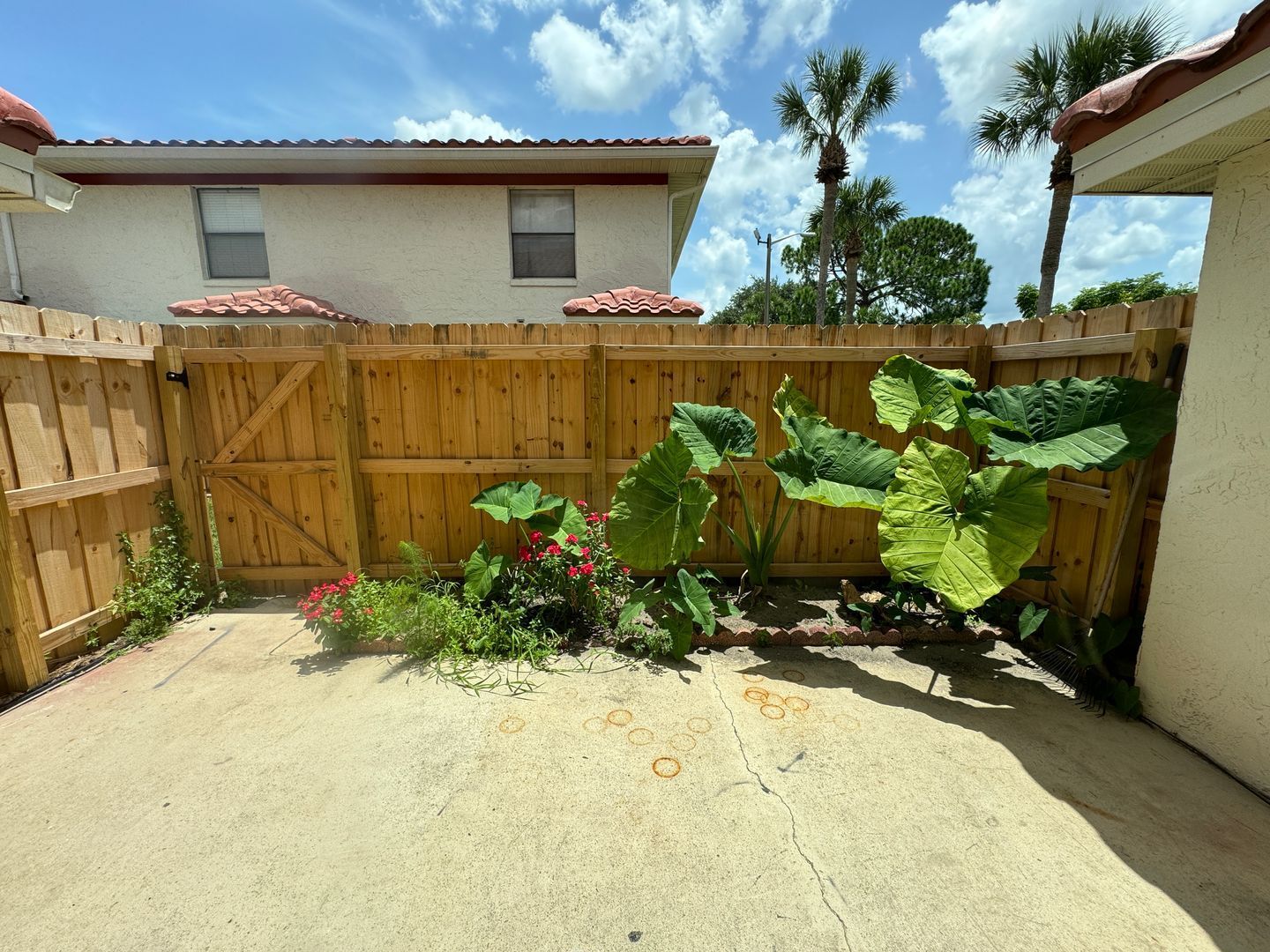 Gallery Image 21