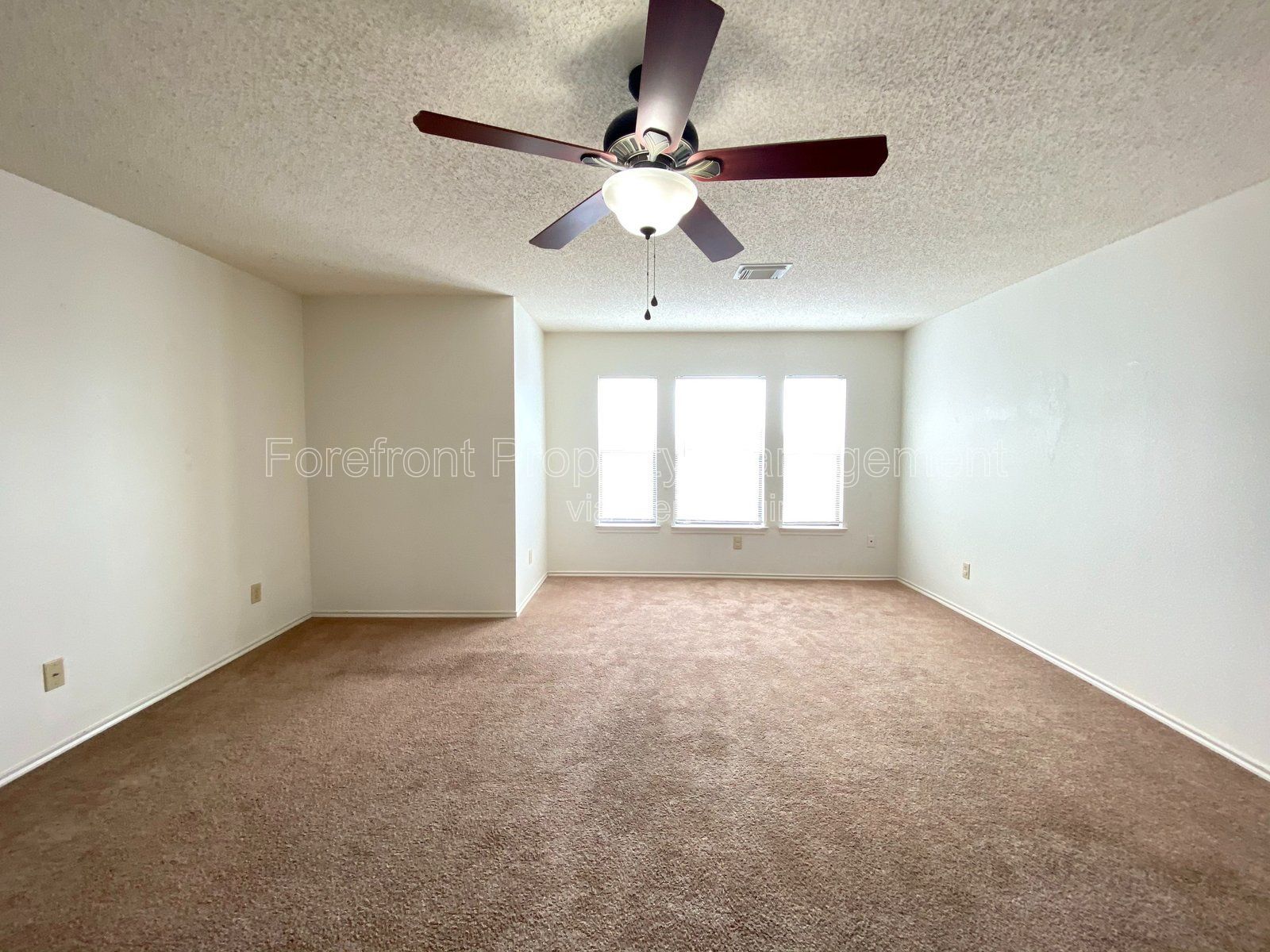Gallery Image 41