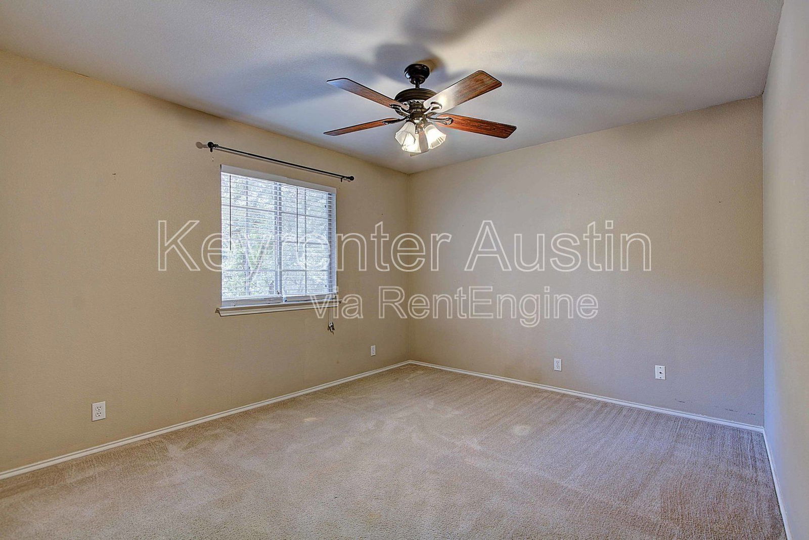 Gallery Image 19