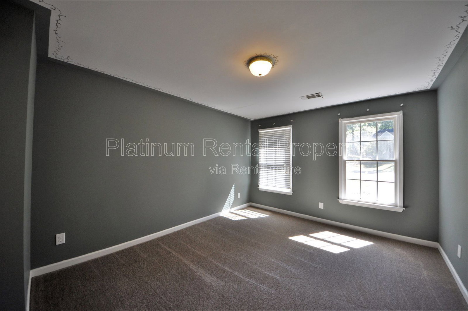 Gallery Image 20