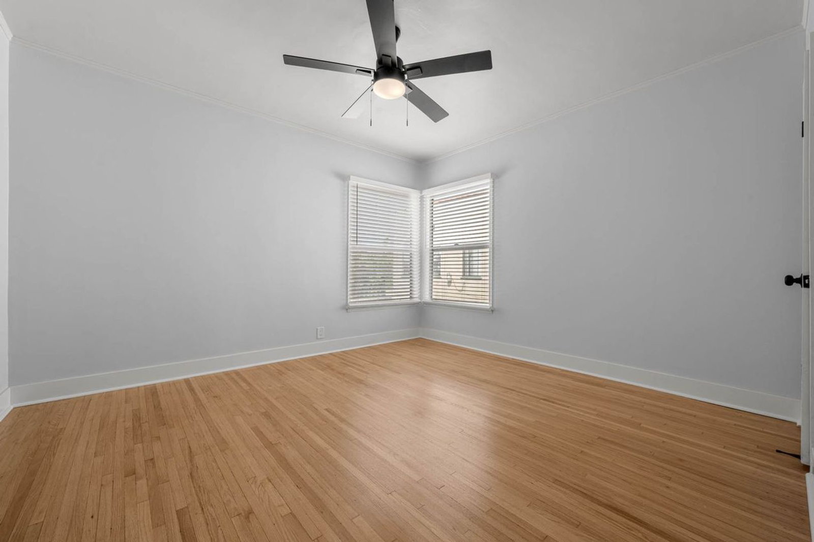 Gallery Image 16