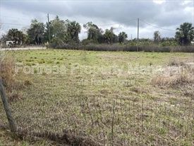 Gallery Image 0