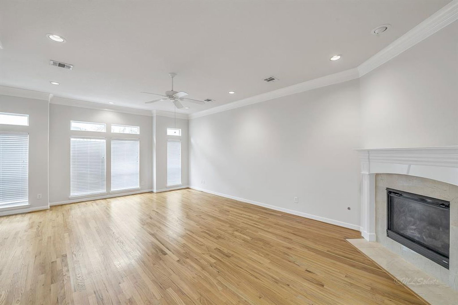 Gallery Image 19