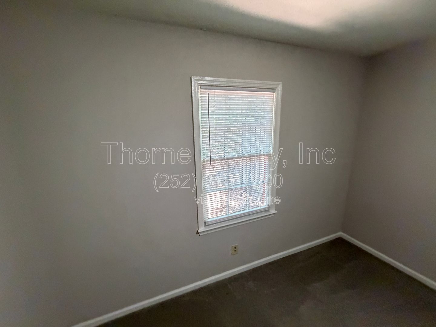Gallery Image 20