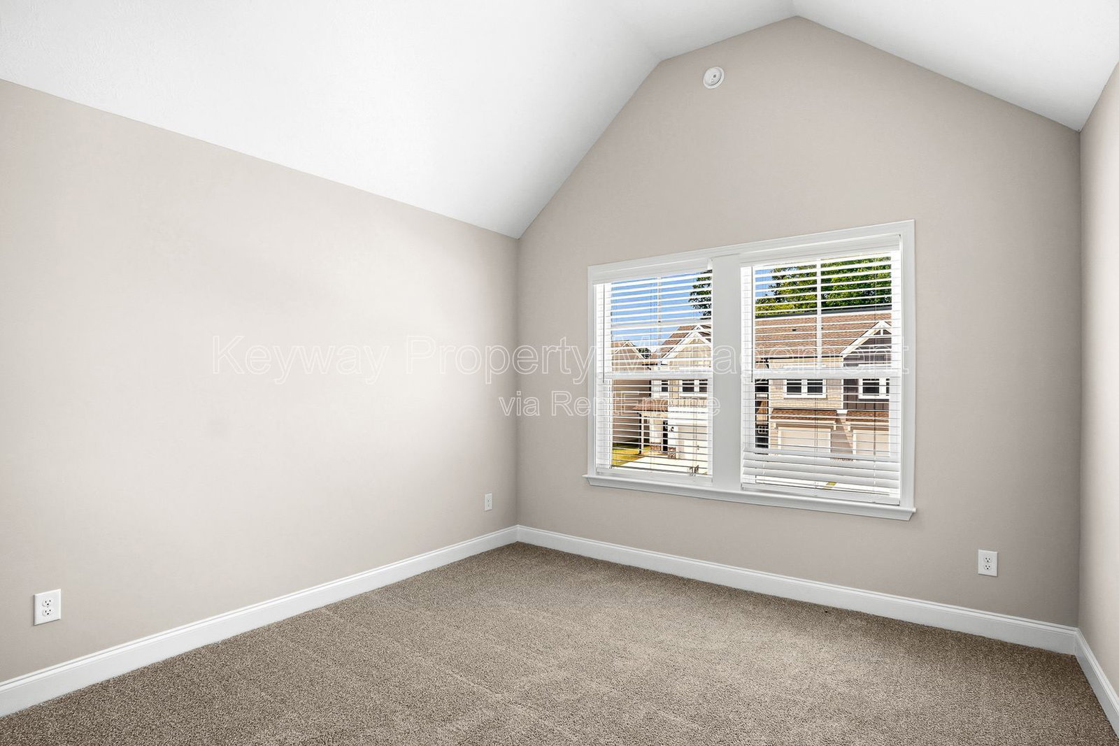 Gallery Image 19