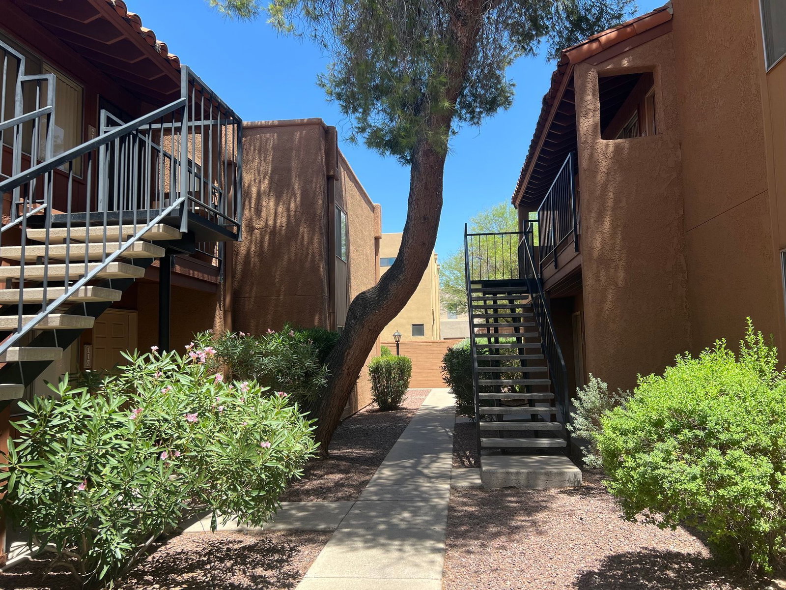 Gallery Image 25