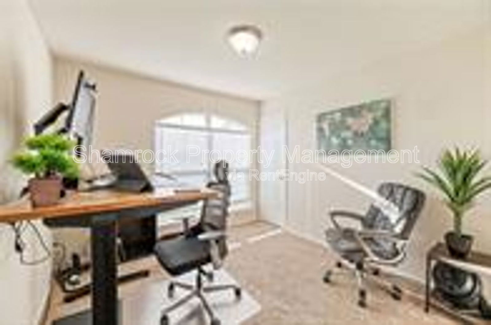 Gallery Image 8