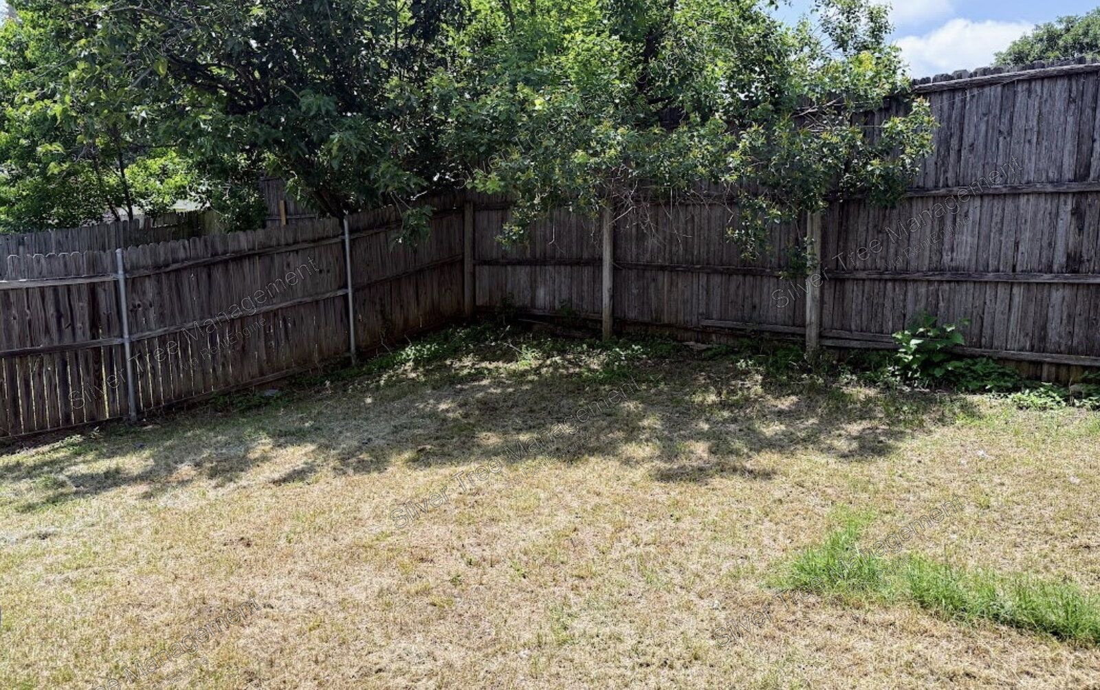 Gallery Image 27