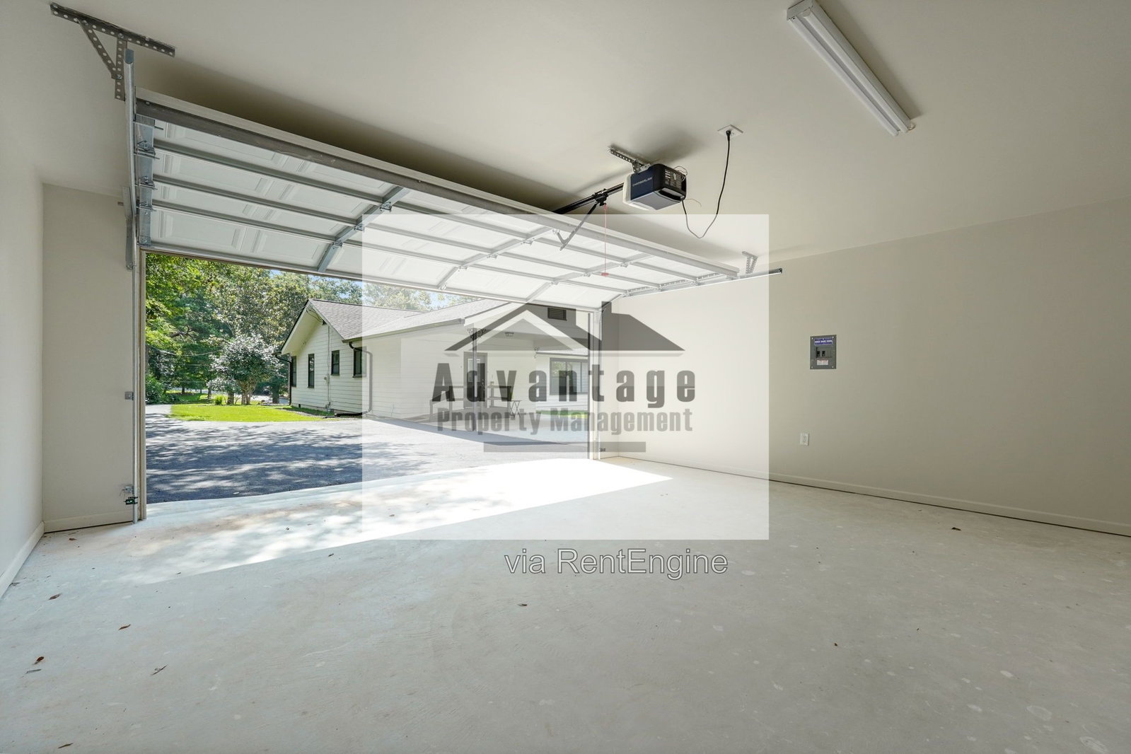 Gallery Image 65