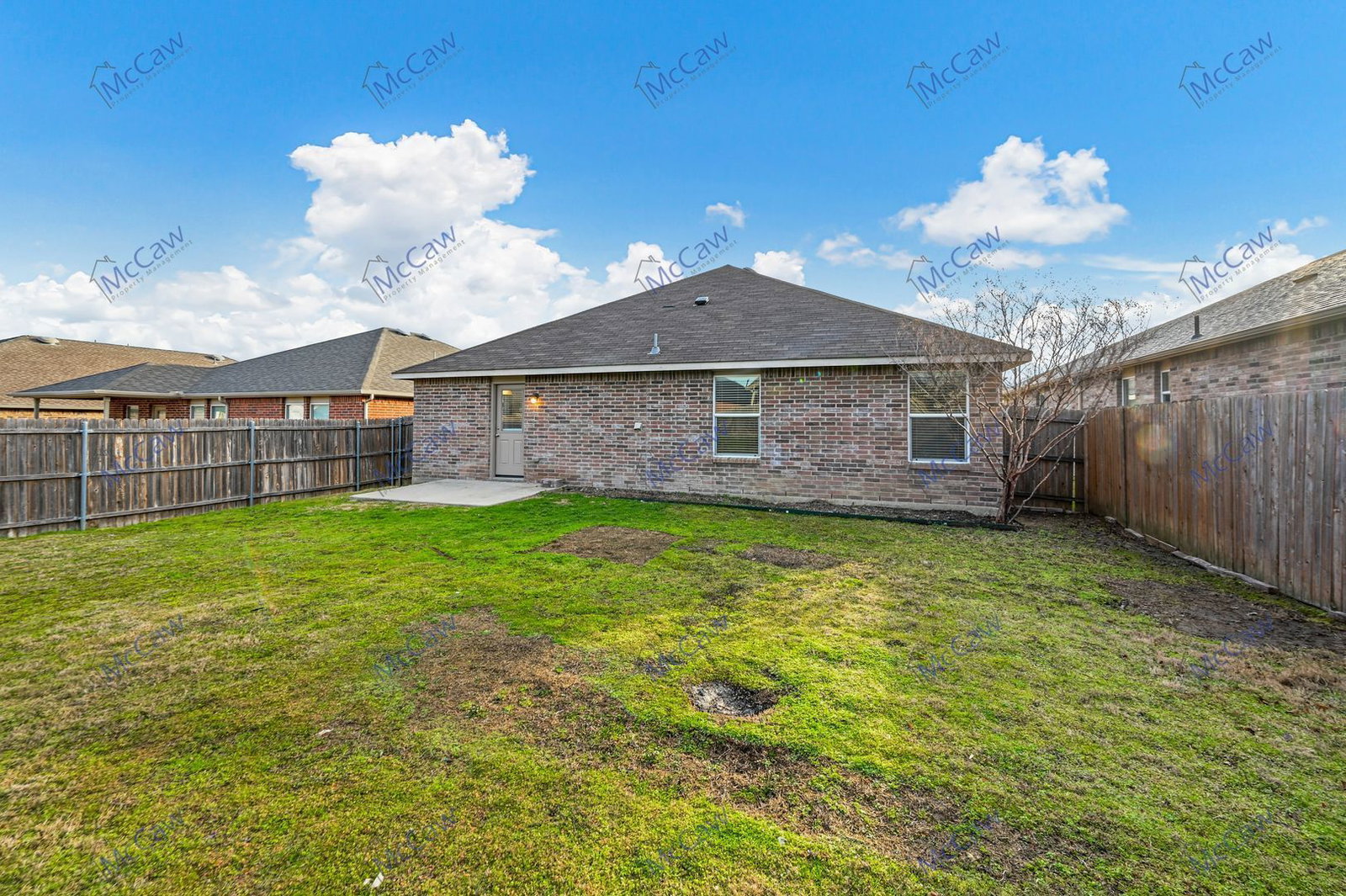 Gallery Image 16