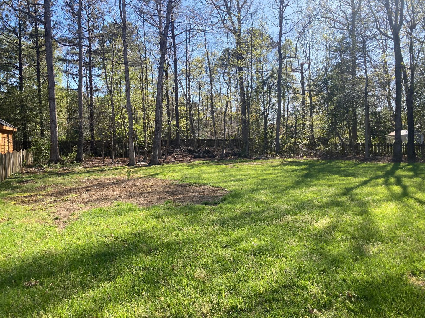Gallery Image 21