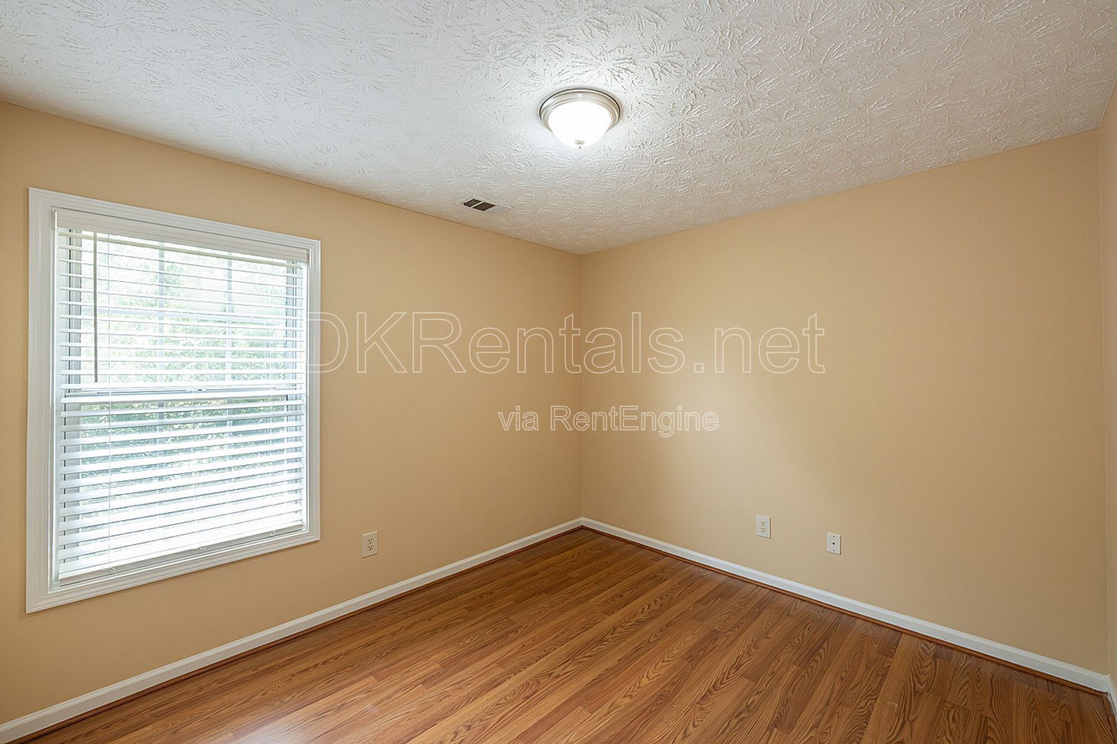 Gallery Image 19