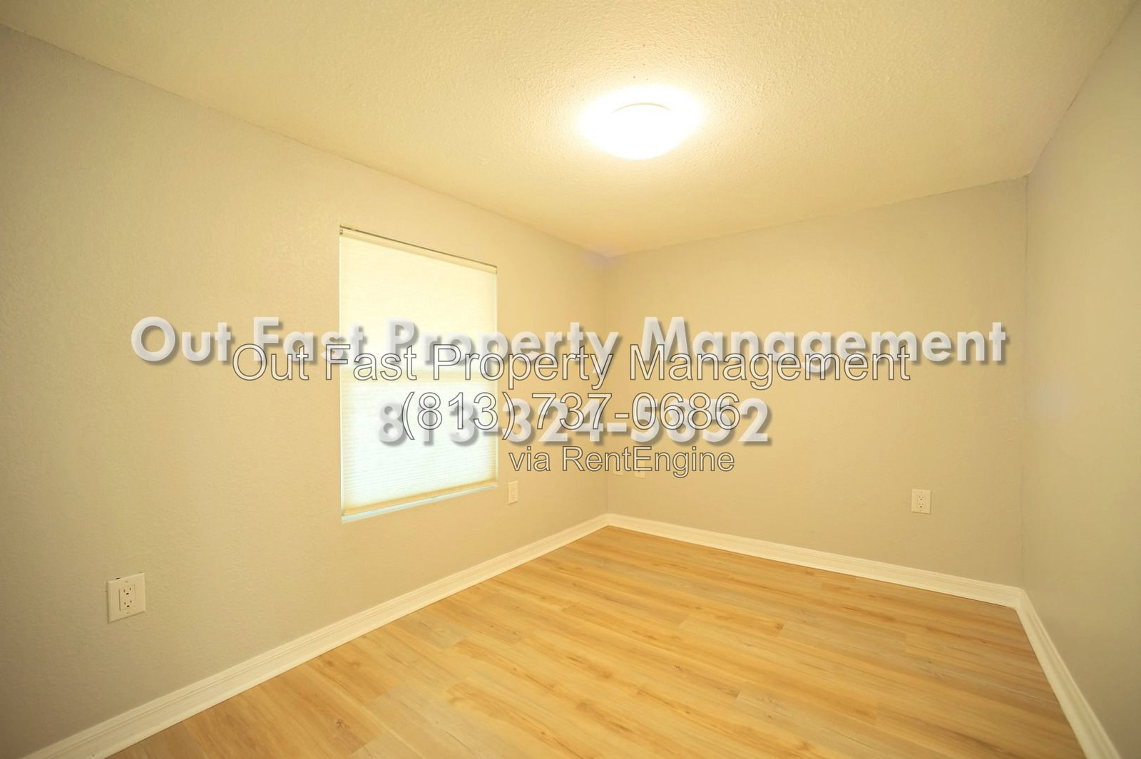 Gallery Image 21
