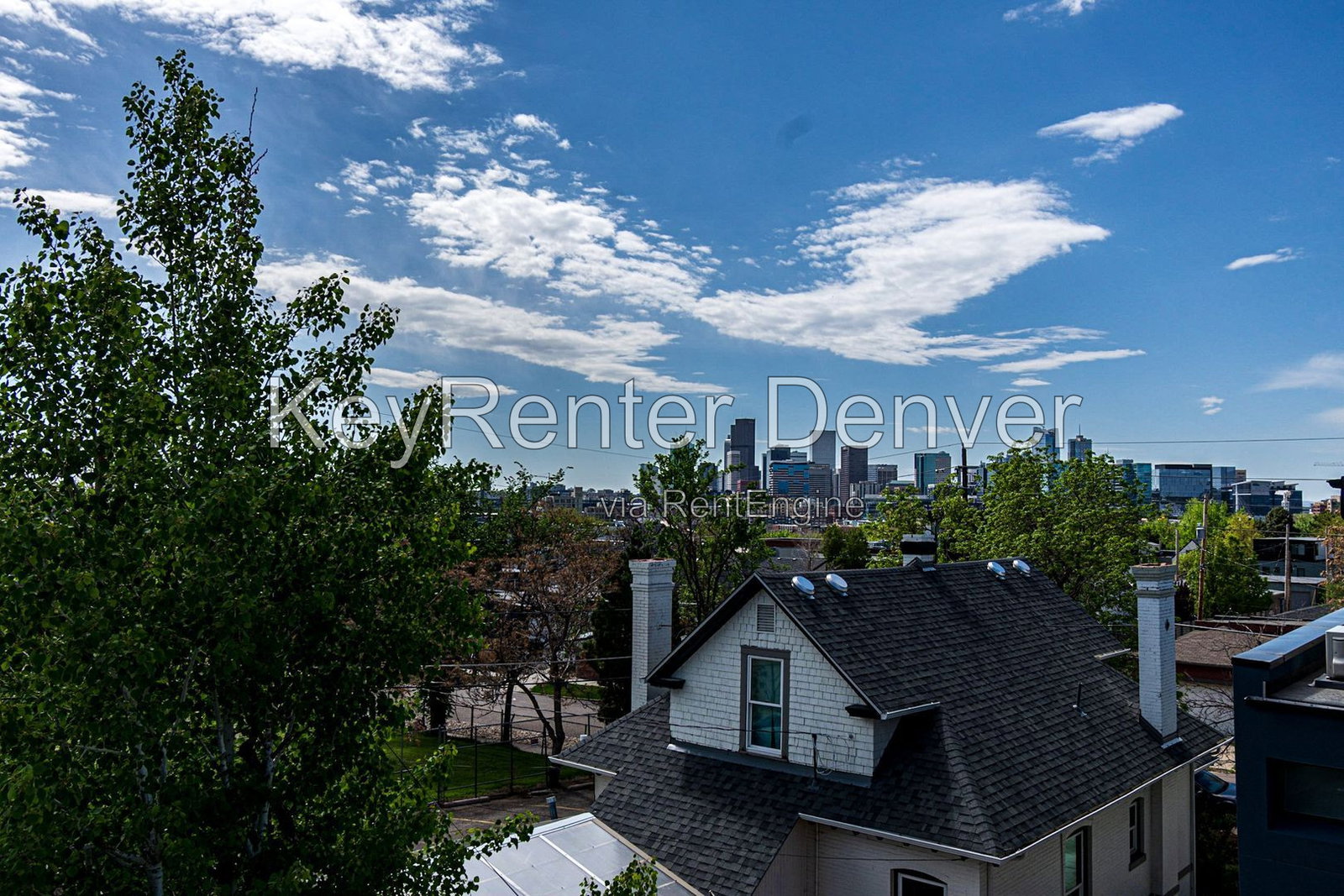 Gallery Image 61