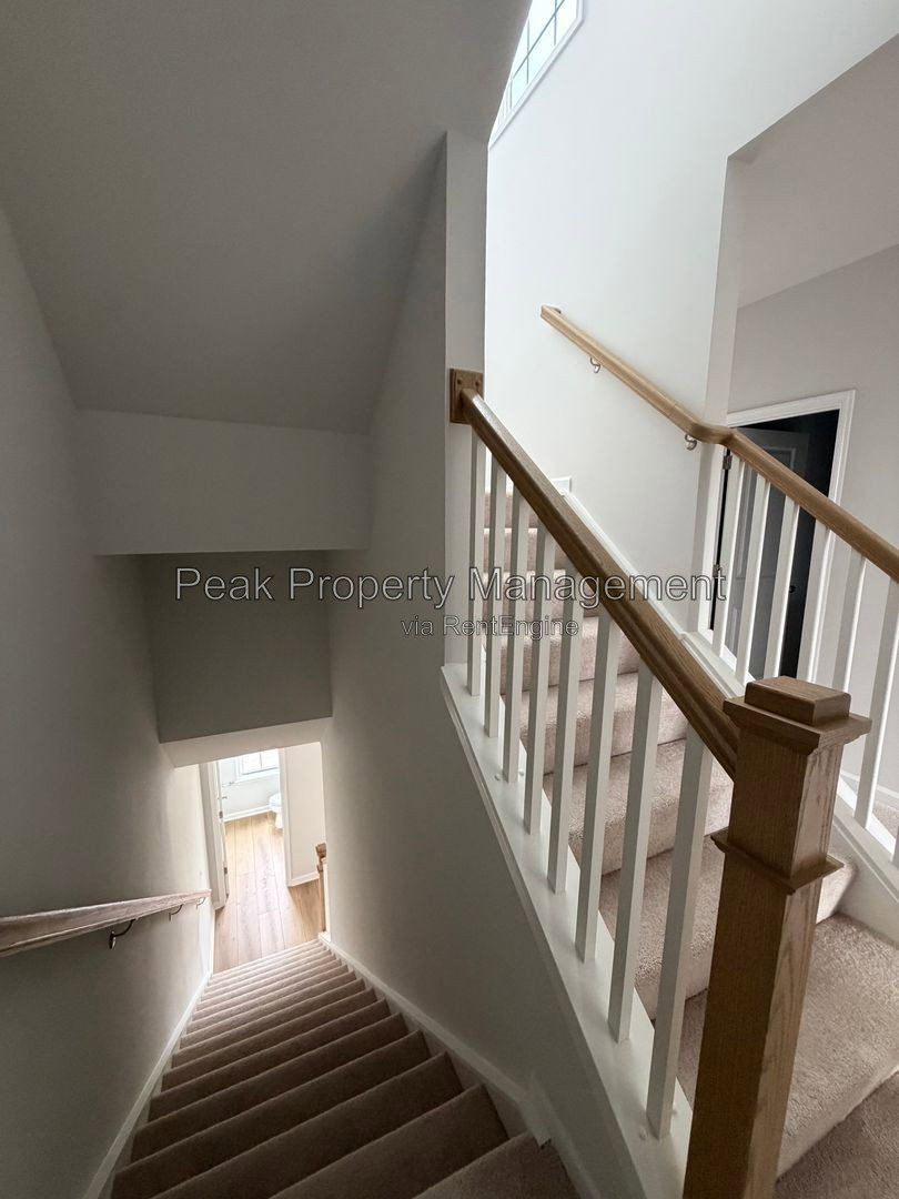 Gallery Image 17