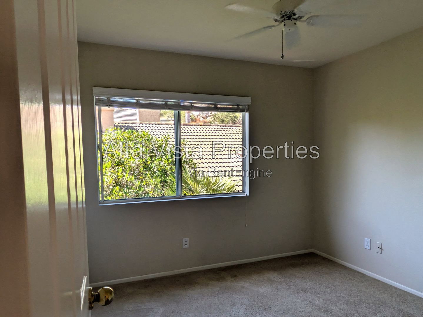 Gallery Image 20
