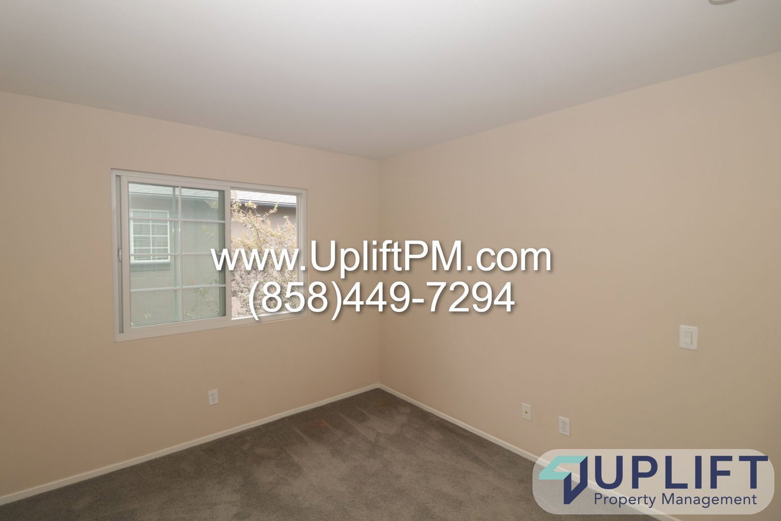 Gallery Image 16