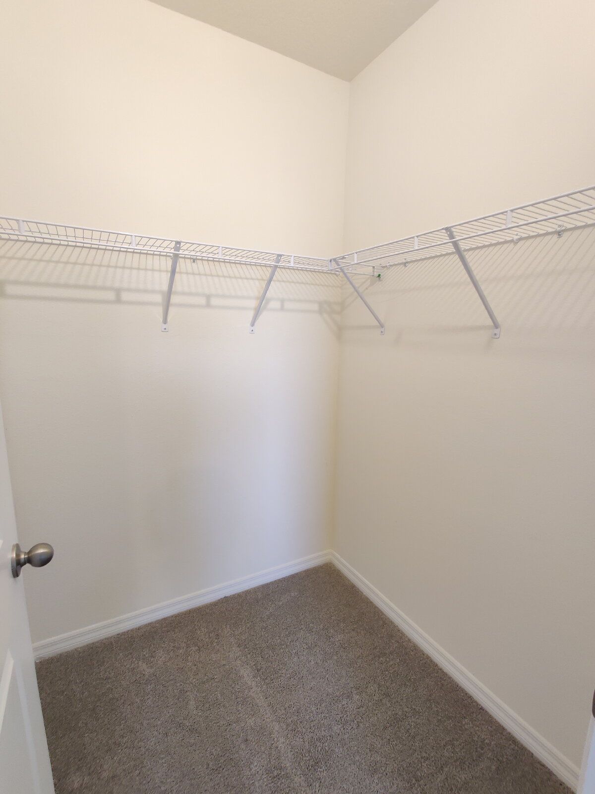 Gallery Image 21