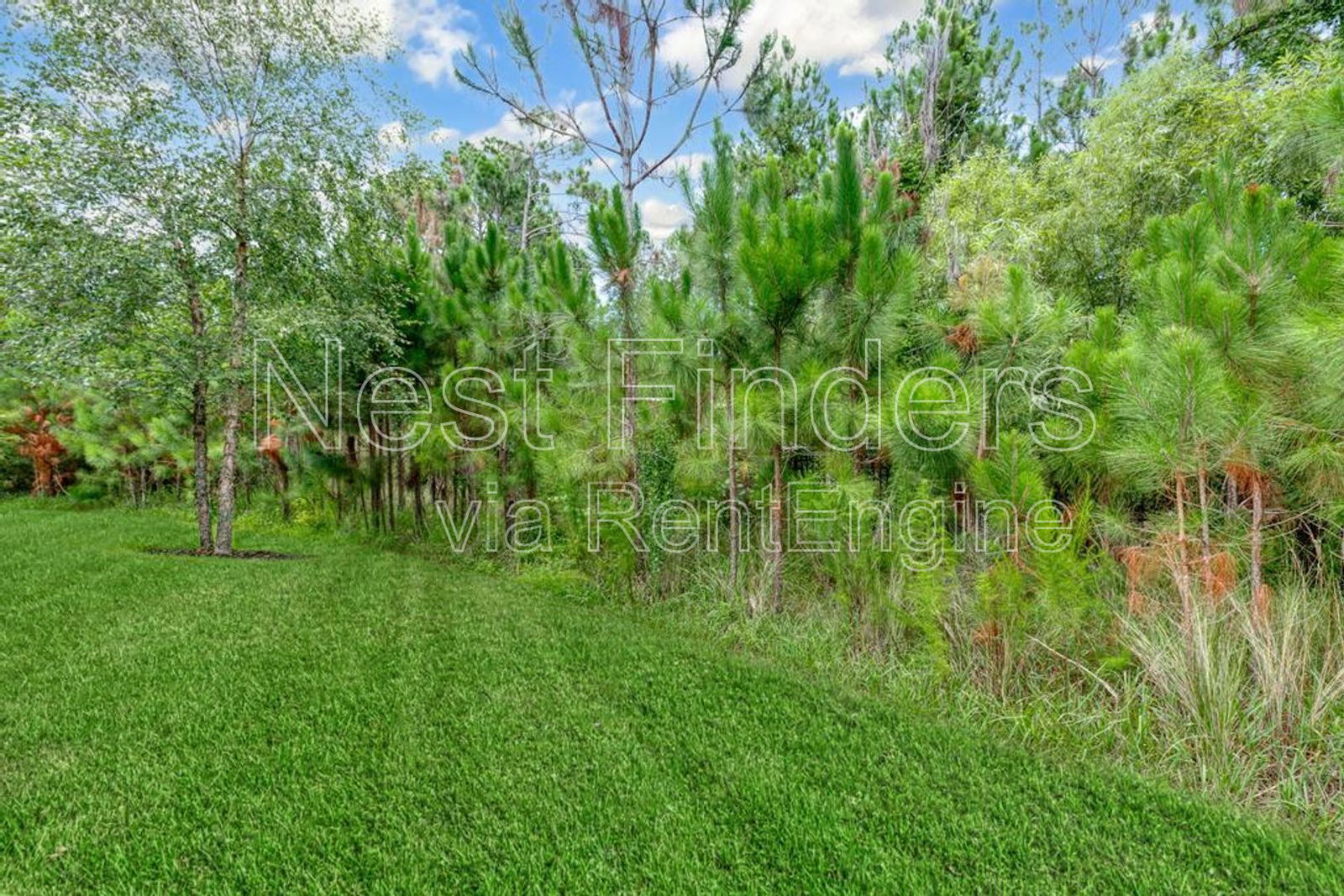Gallery Image 64