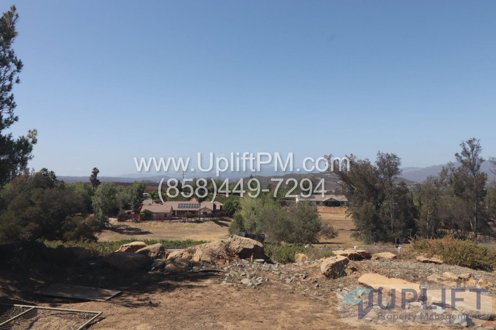 Gallery Image 7