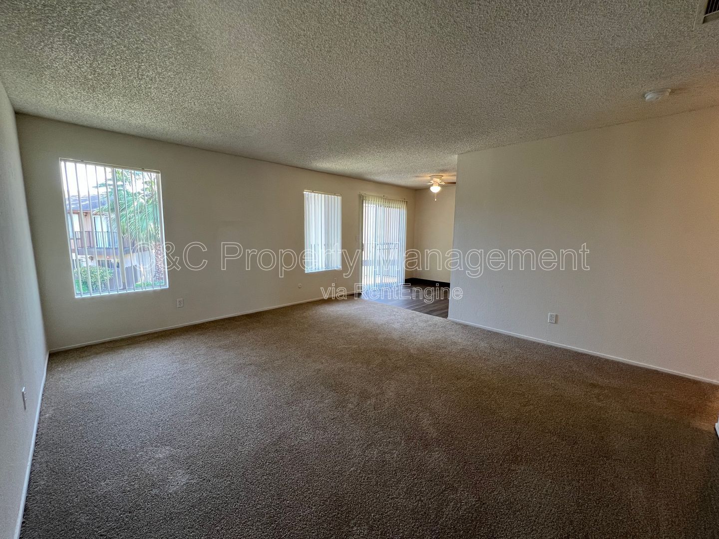 Gallery Image 0