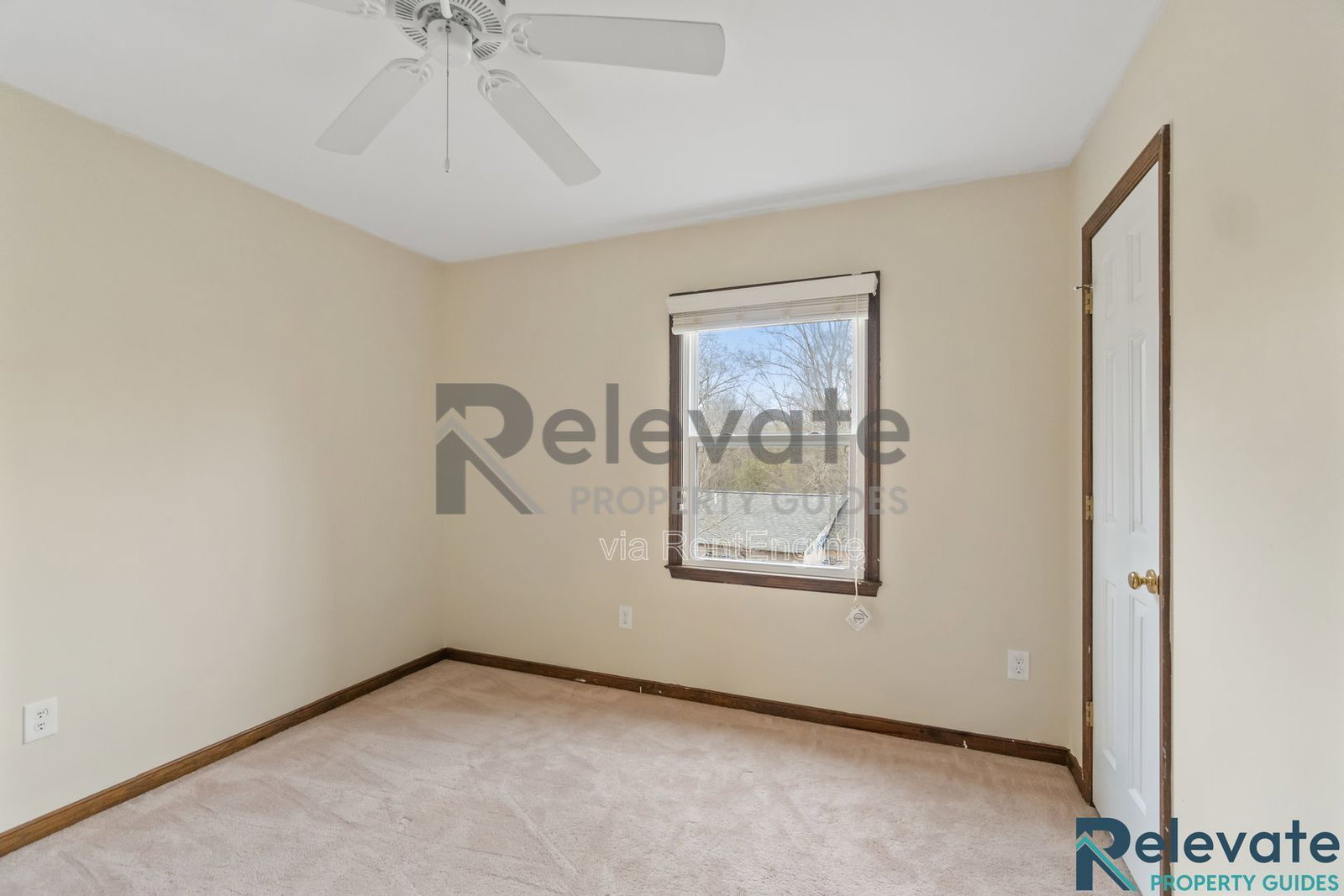 Gallery Image 18