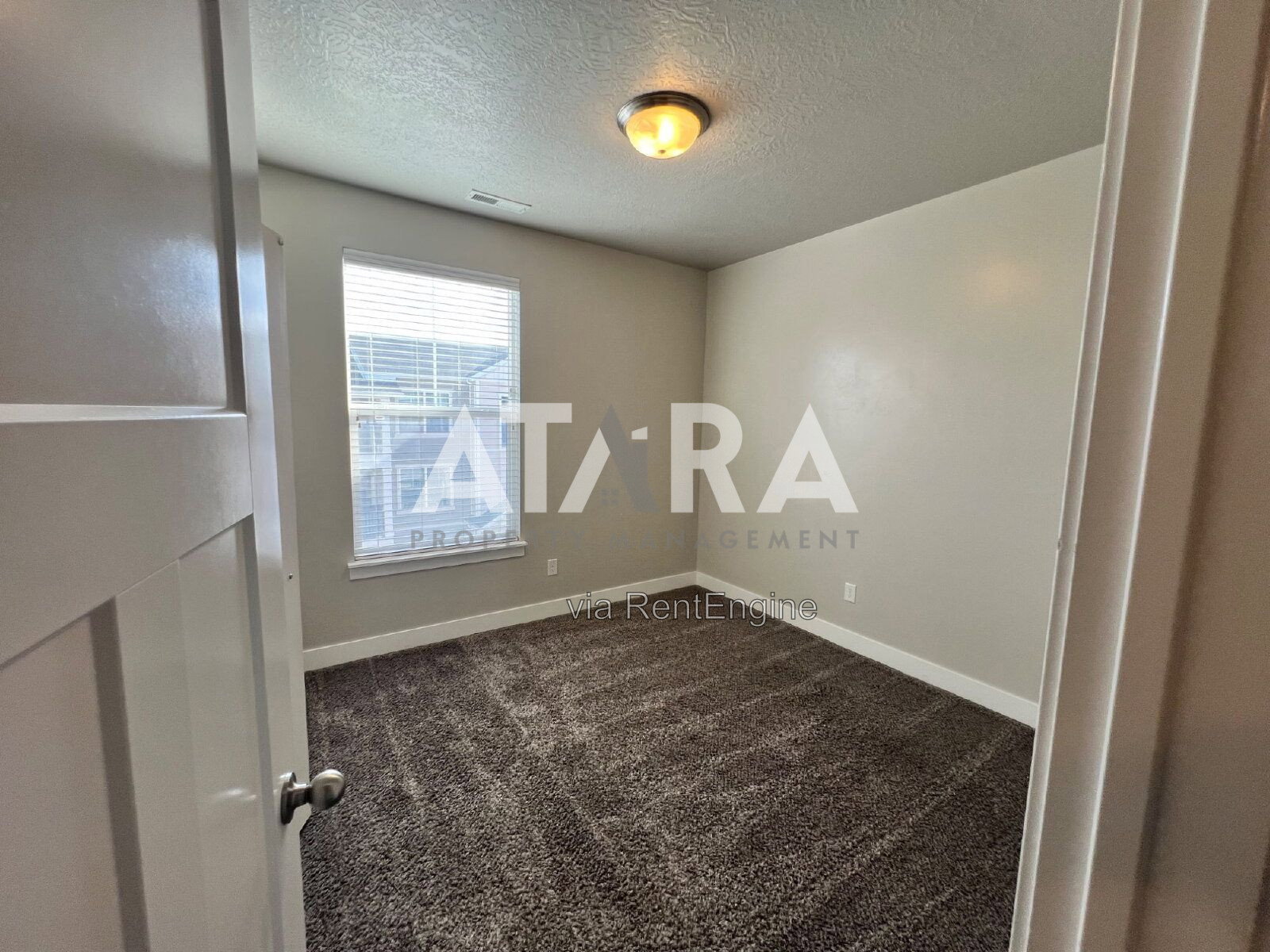 Gallery Image 19