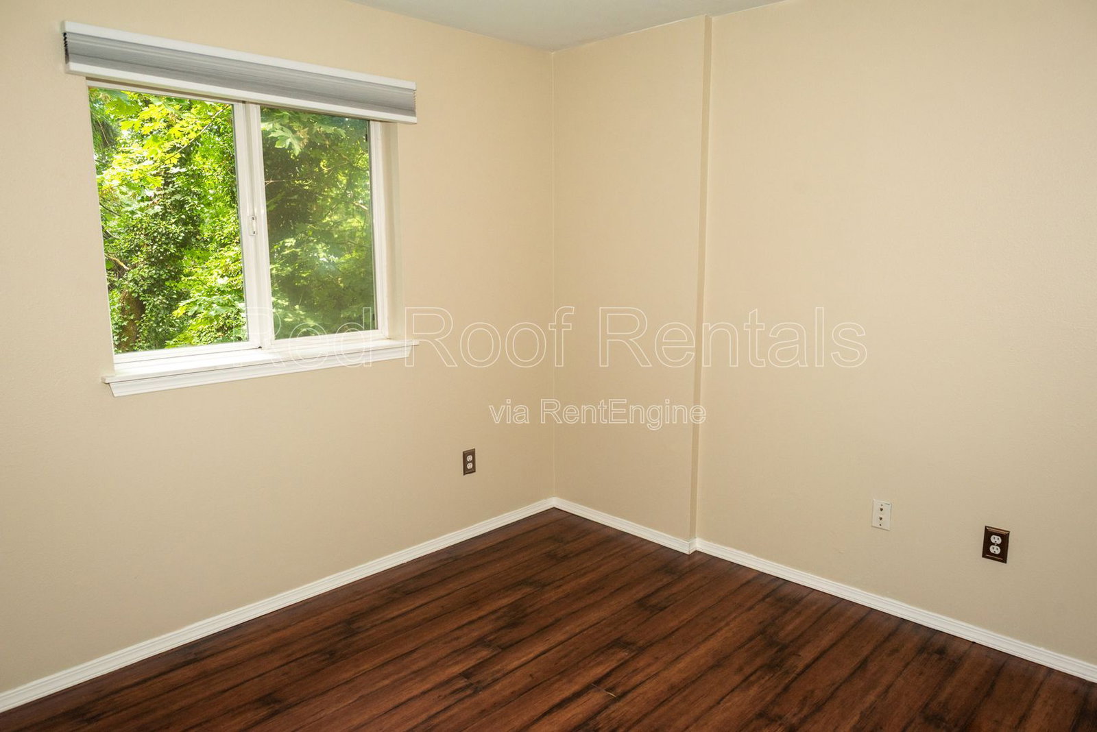 Gallery Image 19