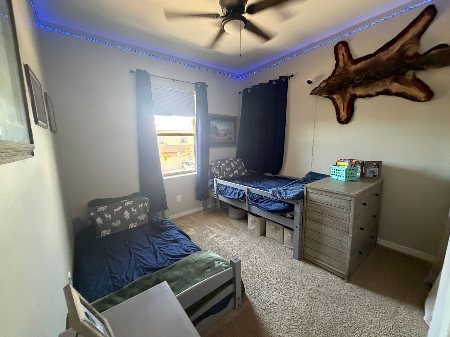 Gallery Image 9