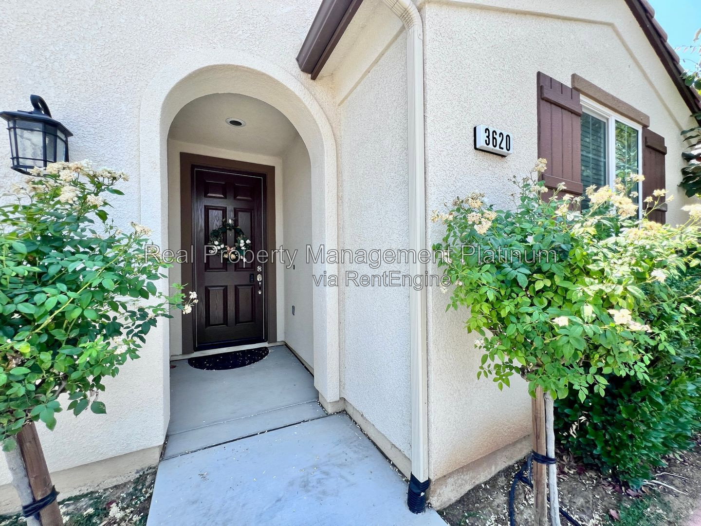 Gallery Image 19