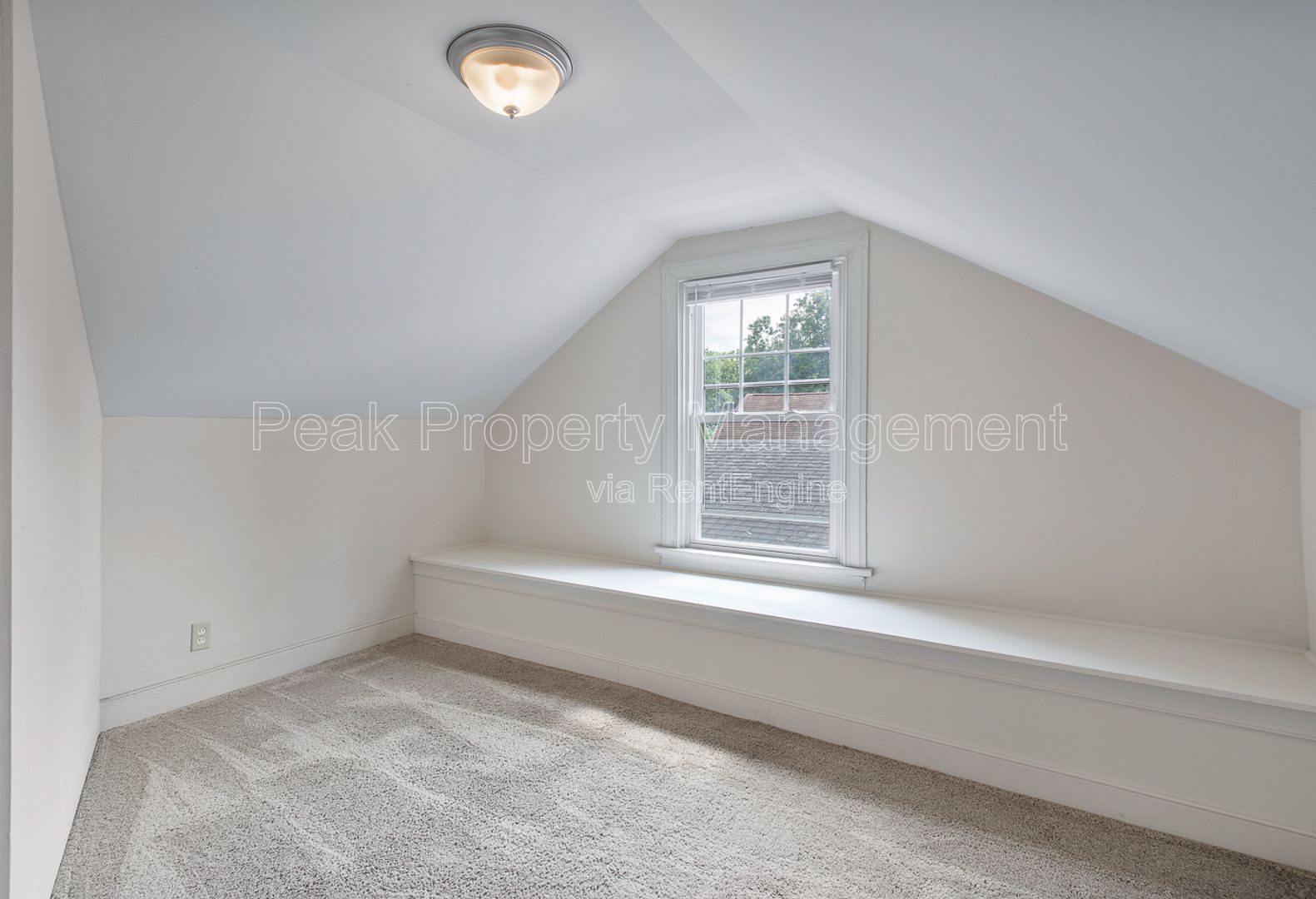 Gallery Image 20