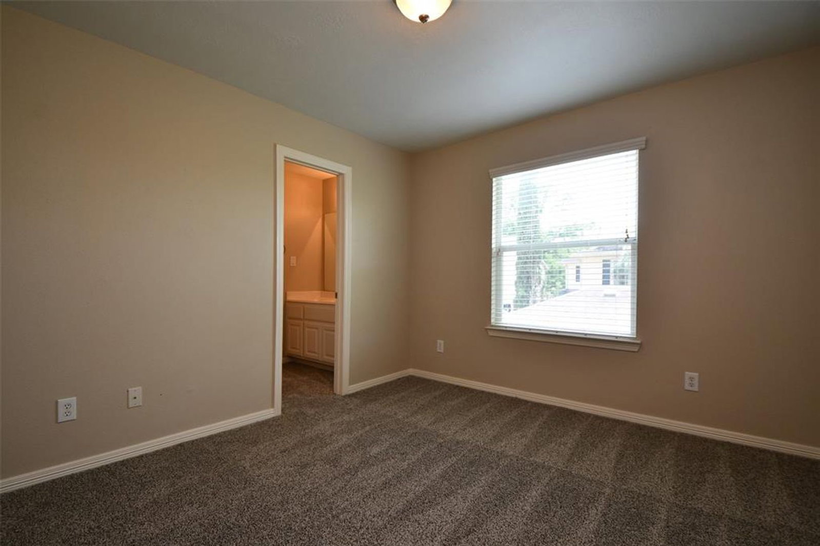 Gallery Image 36