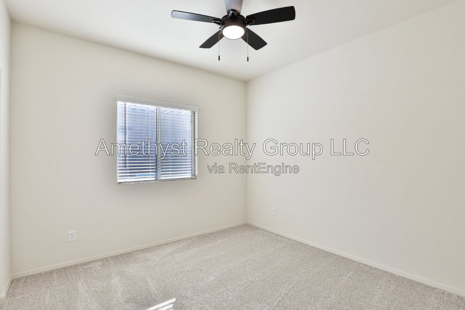 Gallery Image 19
