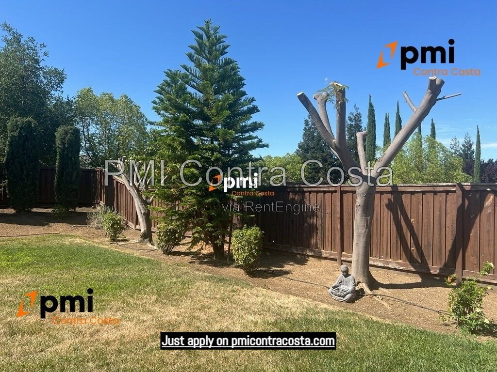 Gallery Image 52