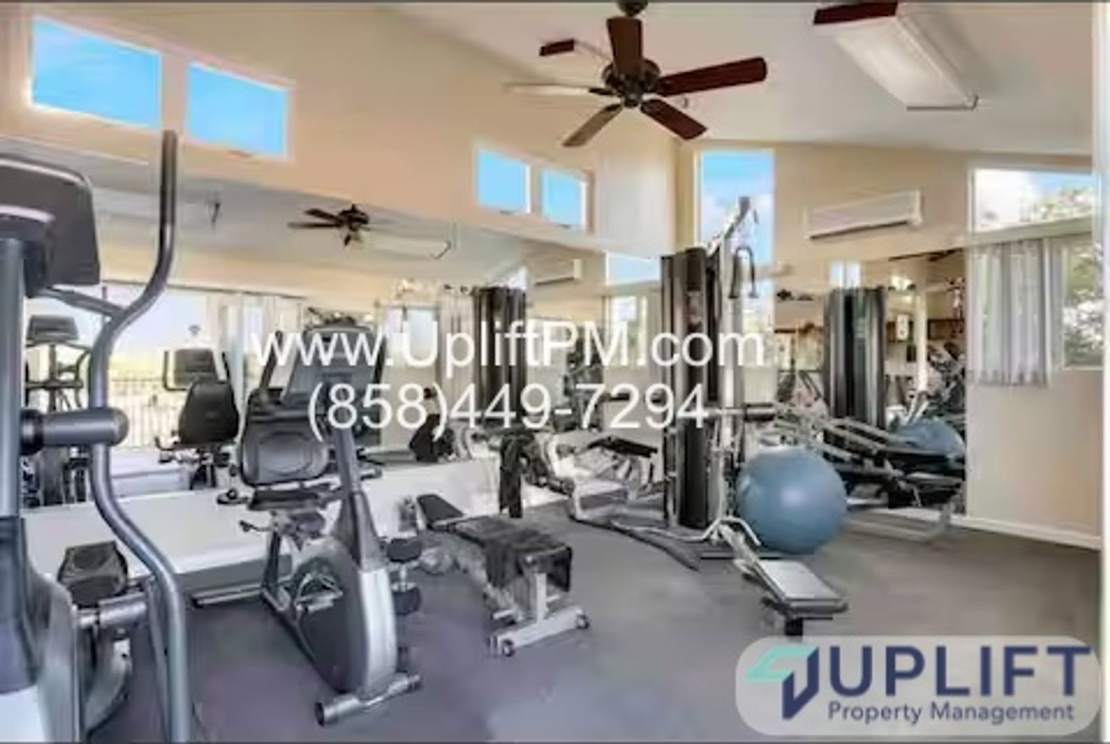 Gallery Image 11