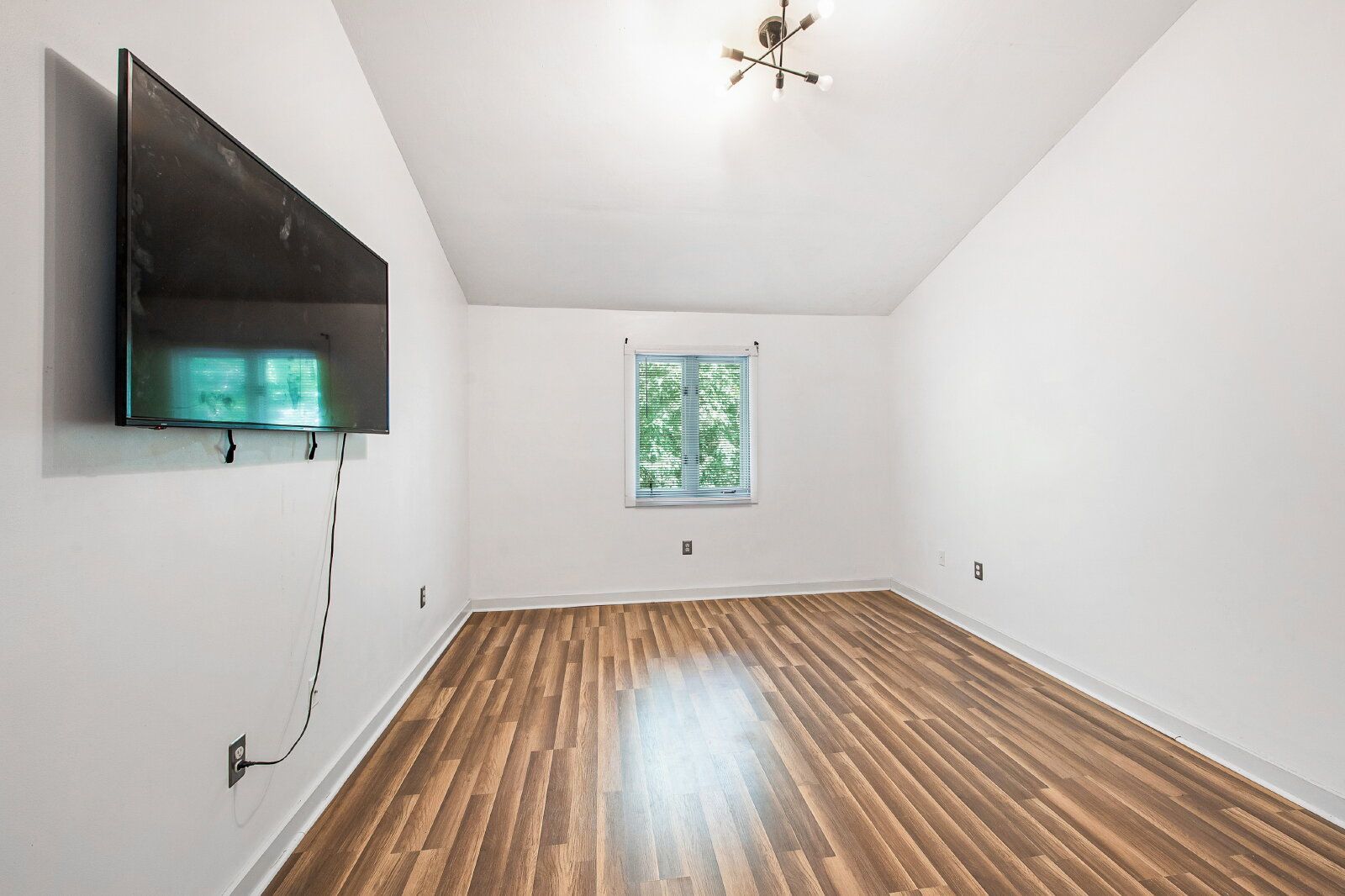 Gallery Image 19