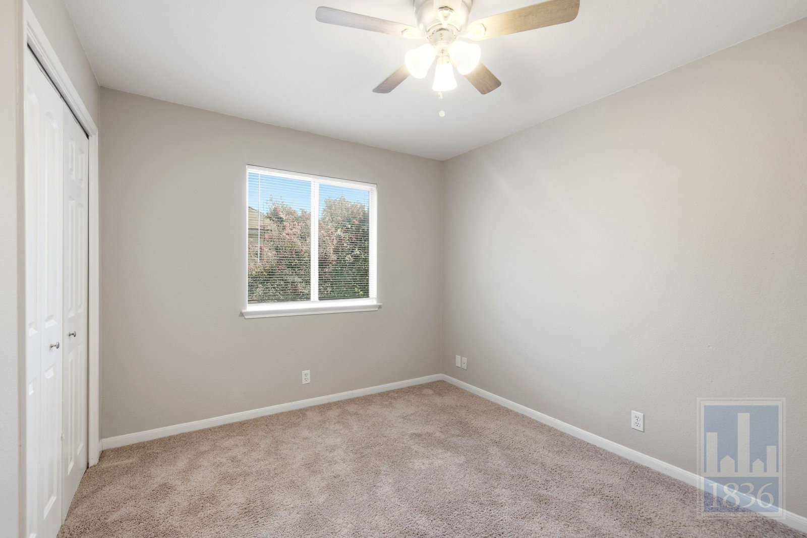 Gallery Image 19