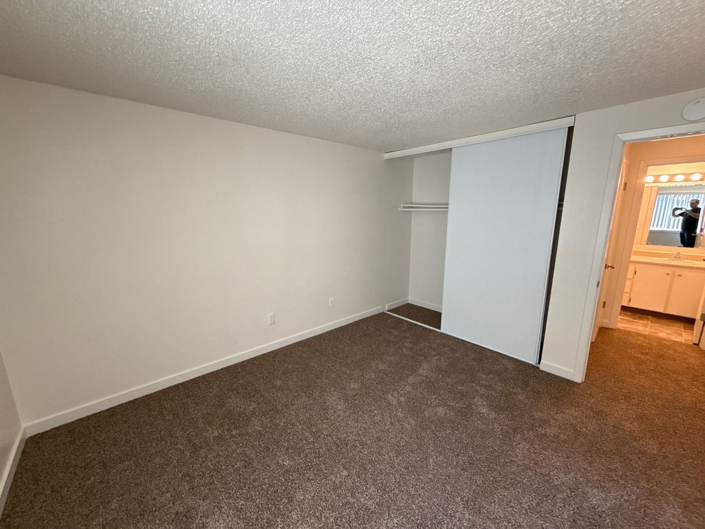 Gallery Image 19